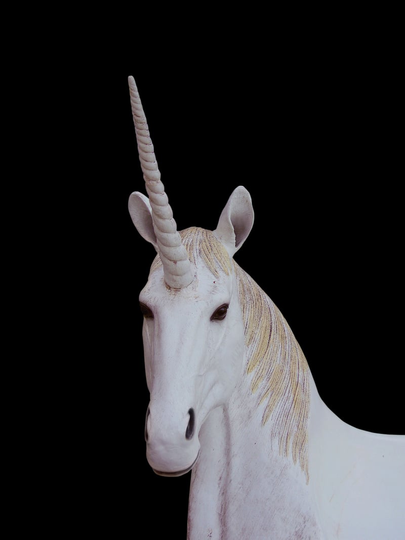 Unicorn Kisses