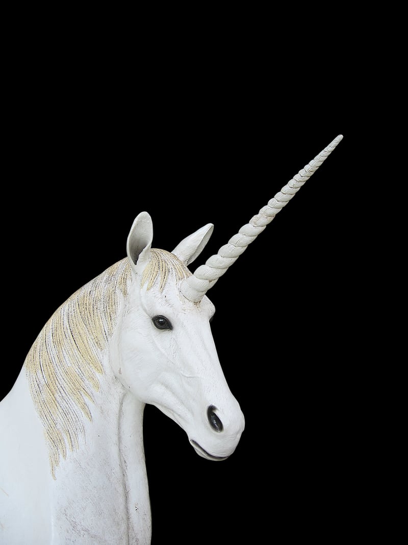 Unicorn Companion